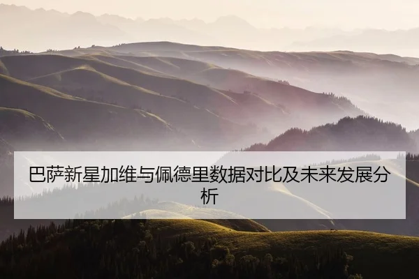 ba-sa-xin-xing-jia-wei-yu-pei-de-li-shu-ju-dui-bi-ji-wei-lai-fa-zhan-fen-xi-2-495.jpg