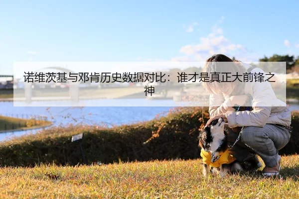 诺维茨基与邓肯历史数据对比：谁才是真正大前锋之神