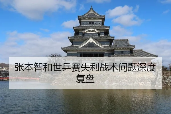 张本智和世乒赛失利战术问题深度复盘